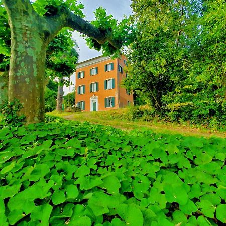 Villa De Benedetti Sarzana Exteriör bild